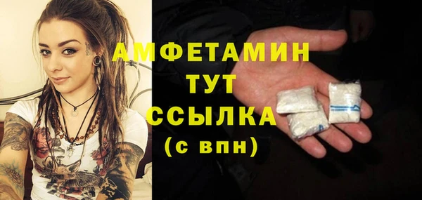 прущие грибы Нефтекумск