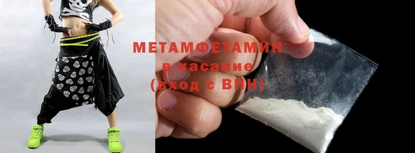 прущие грибы Нефтекумск