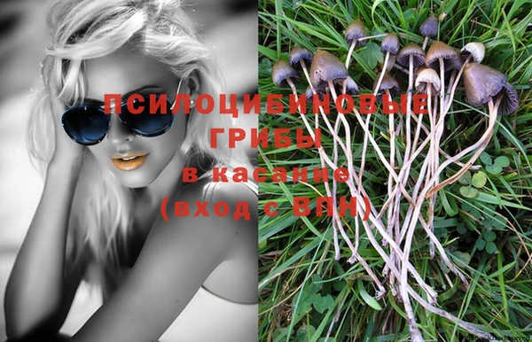 прущая мука Новодвинск