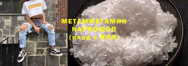 прущие грибы Нефтекумск