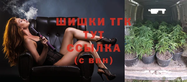прущие грибы Нефтекумск