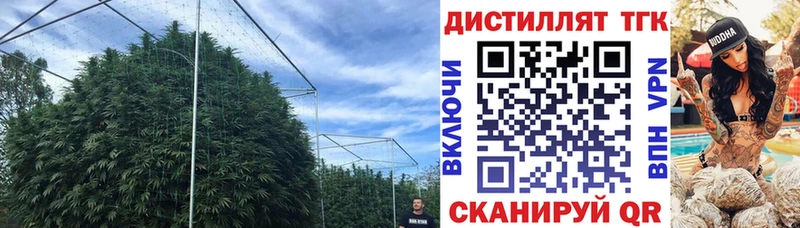 Купить  Староминская  Дистиллят ТГК Wax 