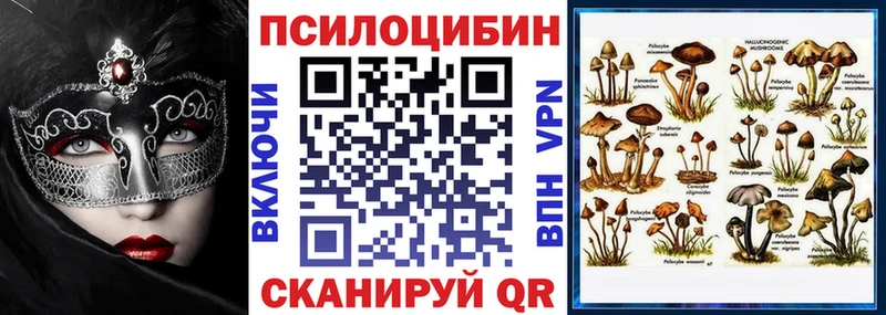 Псилоцибиновые грибы GOLDEN TEACHER  Купить где  Староминская 